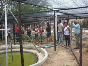 VISITA-DE-INTERCAMBIO---GRUPO-DE-CANSANCAO