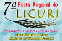 7ª-festa-regional-do-licuri